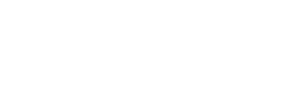 logo light